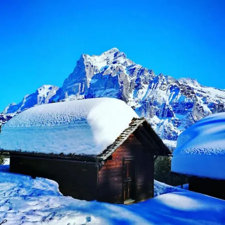 Alps Scenic Views And Concierge By Swisshut Semesterbostad Thun