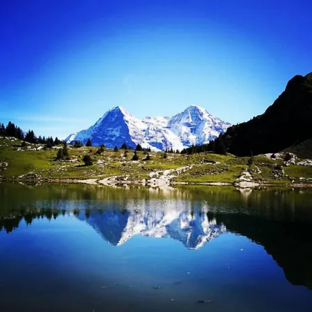 Alps Scenic Views And Concierge By Swisshut Semesterbostad Thun