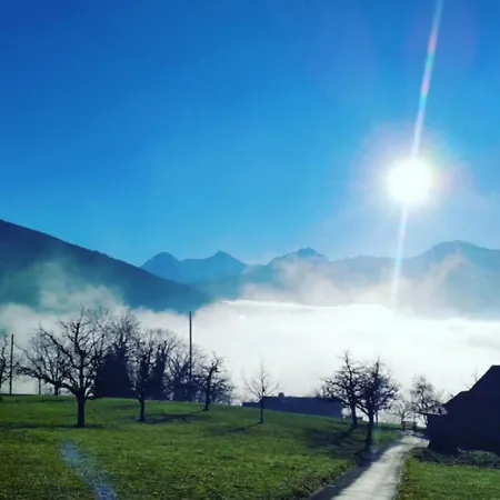 Alps Scenic Views And Concierge By Swisshut Semesterbostad *