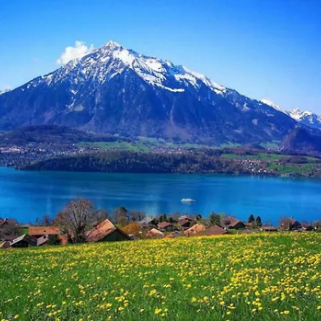 Alps Scenic Views And Concierge By Swisshut Semesterbostad Thun