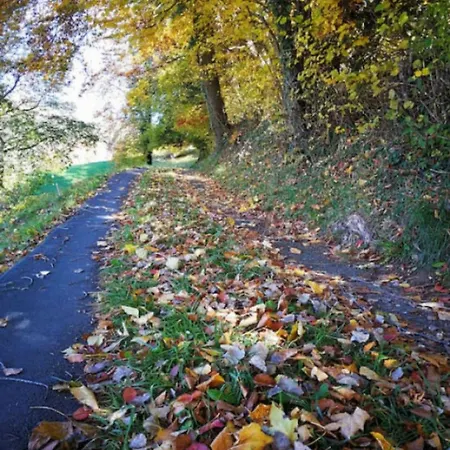 Alps Scenic Views And Concierge By Swisshut * Thun