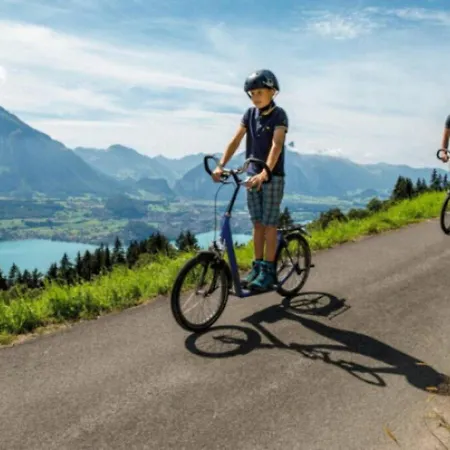 Alps Scenic Views And Concierge By Swisshut * Thun