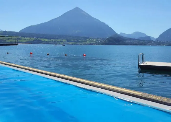 Alps Scenic Views And Concierge By Swisshut