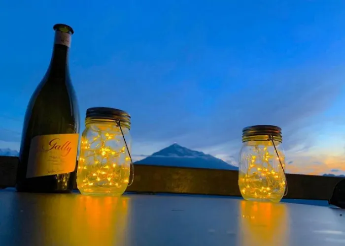 Alps Scenic Views And Concierge By Swisshut Feriehus