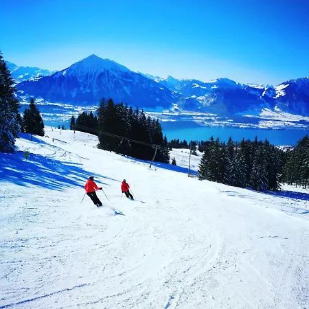 Prázdninový dům Swisshut Stunning Views Alps - Apart. Staat 22 *