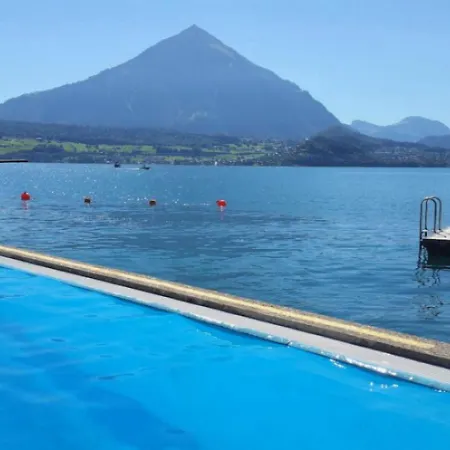 Alps Scenic Views And Concierge By Swisshut